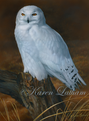 Ghostly Sentinel - Snowy Owl by Karen Latham 2014