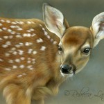 Curious-Fawn Portrait, watercolor on board, ©Rebecca Latham