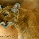 Cougar Prowl, 3 1/2″ x 5 1/2″, watercolor on board, ©Rebecca Latham