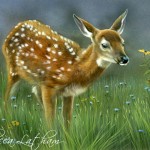 Wildflower Meadow - Whitetail Fawn, 5" x 7", watercolor on board, ©Rebecca Latham