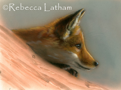 This is the progress of the three fox kit miniature paintings in my studio right now.  I have a lot of the detail on the foxes themselves painted in already, though I'm not completely finished with them yet.  For the commission, I am fortunate to have no set deadline, so I am able to set these pieces in my studio and study them and determine how to proceed to completion. (Though, I am eager to see them proceed as are a number of my blog visitors.)  I am not quite sure how I would like to complete the logs in two of the paintings - what lichens or mosses to add, etc.  I have done some research for the paintings recently during a short research trip with my family (to be posted soon) and may also bring some of the local forest habitat into my studio for reference to paint from life.