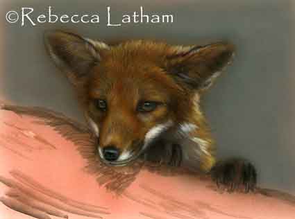 This is the progress of the three fox kit miniature paintings in my studio right now. I have a lot of the detail on the foxes themselves painted in already, though I'm not completely finished with them yet. For the commission, I am fortunate to have no set deadline, so I am able to set these pieces in my studio and study them and determine how to proceed to completion. (Though, I am eager to see them proceed as are a number of my blog visitors.) I am not quite sure how I would like to complete the logs in two of the paintings - what lichens or mosses to add, etc. I have done some research for the paintings recently during a short research trip with my family (to be posted soon) and may also bring some of the local forest habitat into my studio for reference to paint from life. This is the progress of the three fox kit miniature paintings in my studio right now. I have a lot of the detail on the foxes themselves painted in already, though I'm not completely finished with them yet. For the commission, I am fortunate to have no set deadline, so I am able to set these pieces in my studio and study them and determine how to proceed to completion. (Though, I am eager to see them proceed as are a number of my blog visitors.) I am not quite sure how I would like to complete the logs in two of the paintings - what lichens or mosses to add, etc. I have done some research for the paintings recently during a short research trip with my family (to be posted soon) and may also bring some of the local forest habitat into my studio for reference to paint from life.
