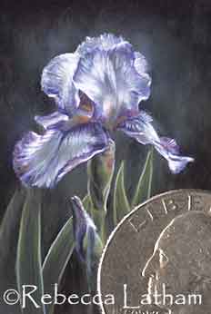 New miniature iris painting - This is a really small miniature painting that is just about done now.  It's one of my Irises from our garden that should be coming up this spring. :D It is pretty small - due to the 1/6th rule.  For those who aren't aware, There are a lot of miniature societies around the world that have exhibitions for miniature art and one of the rules for their miniature shows is to paint 1/6th lifesize or smaller.  So, this little iris is under 1".