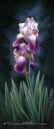 I am very pleased to post that "Garden Irises" will be a part of this year's "26th Annual Juried Miniatures Art Show" at the El Dorado Fine Art Gallery in Colorado Springs, Colorado.  The show will run from April 29th to May 21st at the gallery and will feature many miniature paintings by artists from around the United States as well as foreign artists' work.  They put on a very nice exhibit of miniature art.  I am very happy to be a part of this year's event. :D