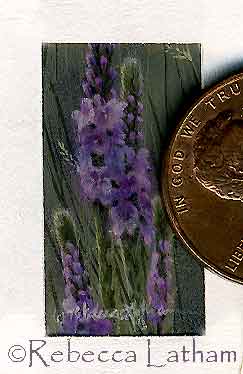 MiniatureWildflowers0207 Miniature Wildflowers   Traditional Miniature