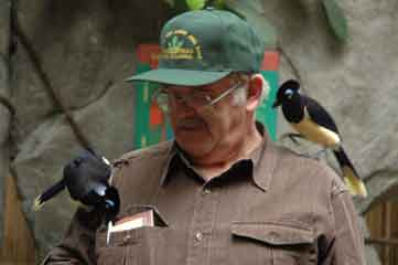 A little stop to visit with some critters :)  My favorite part of getting out to shows and events is being able to stop and study wildlife or habitats from the area and gather a lot of fresh reference for painting.  This is a photo pf my dad being mugged by a couple of jays. ;) 