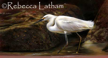 This is how my Snowy Egret painting is looking right now.  The painting is very subtle and has a lot of very soft color tones in it - unfortunately the richness of the color in the habitat and some of the accents in the egret are not showing up well in this scan.  When I did the research and study for this this painting, the egret had soft overcast lighting, so the look of the painting is a little different than most of the pieces that I paint.  It is still in progress.  Here's the sketch for this piece. 