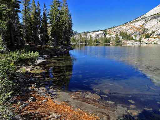 yosemite park image