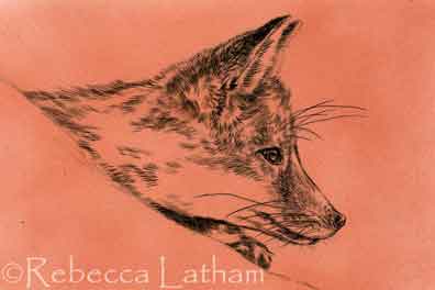 These are a few scans of some of the recent progress on the fox kits that I'm painting (one of them is a commissioned work - the inspiration for the collection).  In my studio right now, they are farther into the color stages than what is shown here - I should have some more complete scans of them to post soon. :D