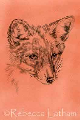 These are a few scans of some of the recent progress on the fox kits that I'm painting (one of them is a commissioned work - the inspiration for the collection). In my studio right now, they are farther into the color stages than what is shown here - I should have some more complete scans of them to post soon. :D These are a few scans of some of the recent progress on the fox kits that I'm painting (one of them is a commissioned work - the inspiration for the collection). In my studio right now, they are farther into the color stages than what is shown here - I should have some more complete scans of them to post soon. :D