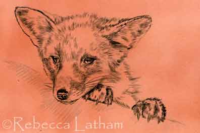 These are a few scans of some of the recent progress on the fox kits that I'm painting (one of them is a commissioned work - the inspiration for the collection). In my studio right now, they are farther into the color stages than what is shown here - I should have some more complete scans of them to post soon. :D These are a few scans of some of the recent progress on the fox kits that I'm painting (one of them is a commissioned work - the inspiration for the collection). In my studio right now, they are farther into the color stages than what is shown here - I should have some more complete scans of them to post soon. :D