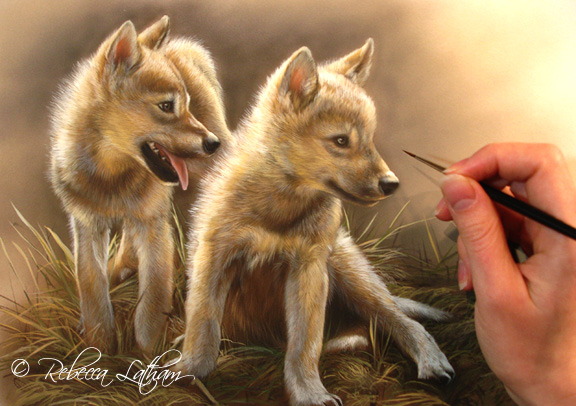 Wolf Puppies In The Wild. WolfPuppies wip10 Wolf Puppies