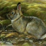 RL-rabbit-moss-100-028