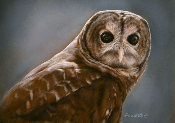 Bonnie Latham's Wildlife & Nature Art | Paintings of wildlife and ...