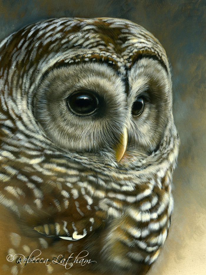 Masterworks in Miniature 2012 | Paintings of Wildlife & Nature by ...